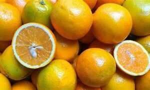 Laranja Pera 1kg